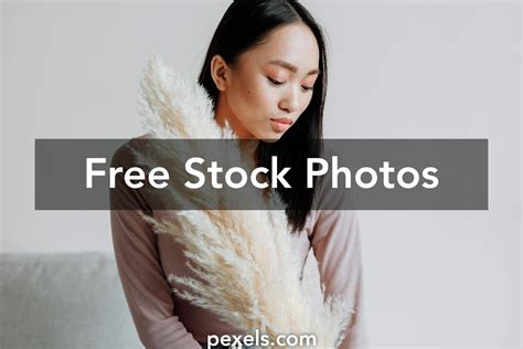 715+ Free Asiam 4K & HD Stock Videos .